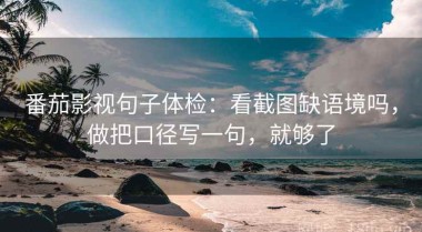 番茄影视句子体检：看截图缺语境吗，做把口径写一句，就够了
