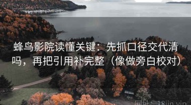 蜂鸟影院读懂关键：先抓口径交代清吗，再把引用补完整（像做旁白校对）