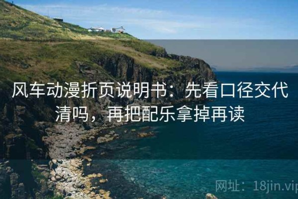 风车动漫折页说明书：先看口径交代清吗，再把配乐拿掉再读