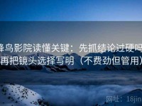 蜂鸟影院读懂关键：先抓结论过硬吗，再把镜头选择写明（不费劲但管用）