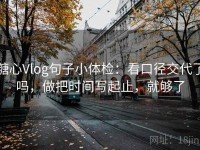糖心Vlog句子小体检：看口径交代了吗，做把时间写起止，就够了