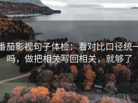 番茄影视句子体检：看对比口径统一吗，做把相关写回相关，就够了