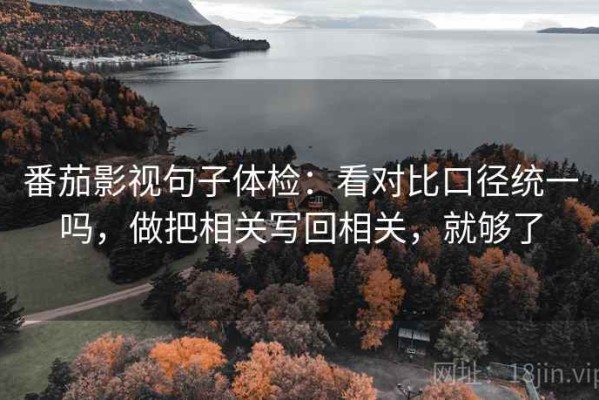 番茄影视句子体检：看对比口径统一吗，做把相关写回相关，就够了