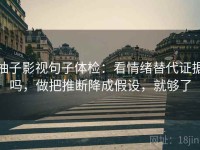 柚子影视句子体检：看情绪替代证据吗，做把推断降成假设，就够了