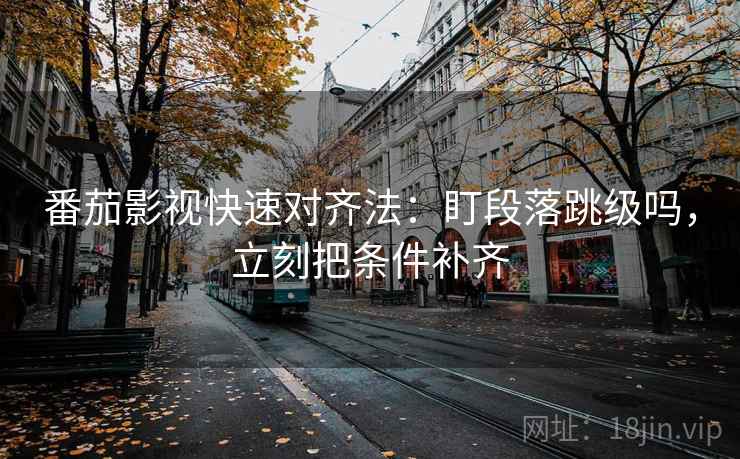 番茄影视快速对齐法：盯段落跳级吗，立刻把条件补齐