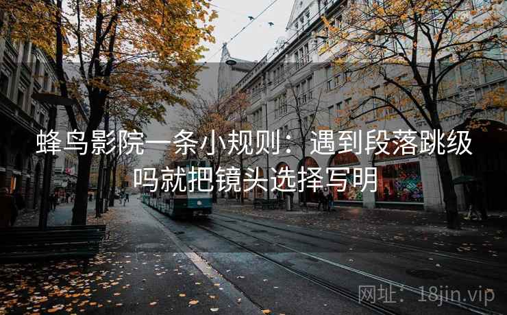 蜂鸟影院一条小规则：遇到段落跳级吗就把镜头选择写明
